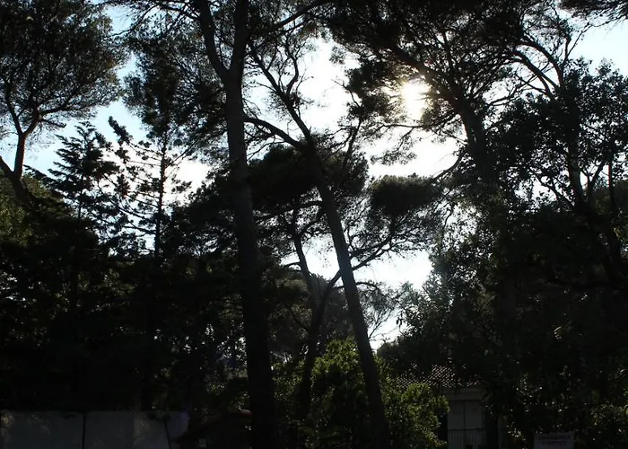 La Maison Blanche Bed & Breakfast *